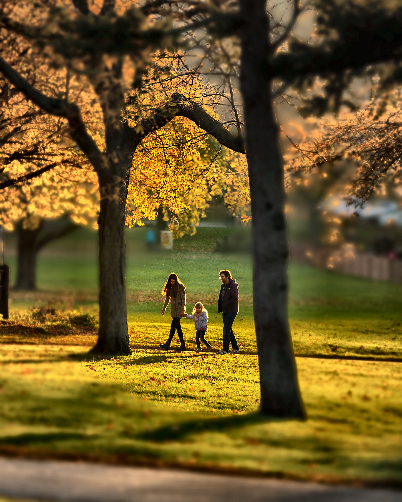 Automatic augmentation output