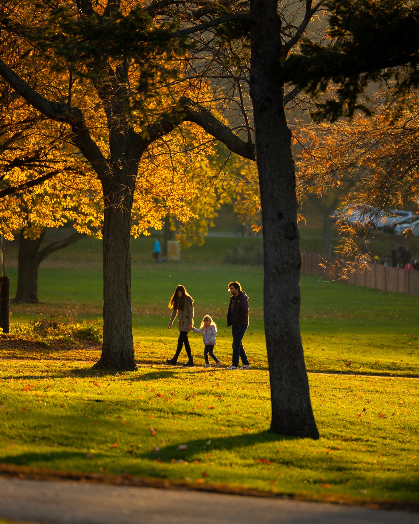 Adaptive crop original