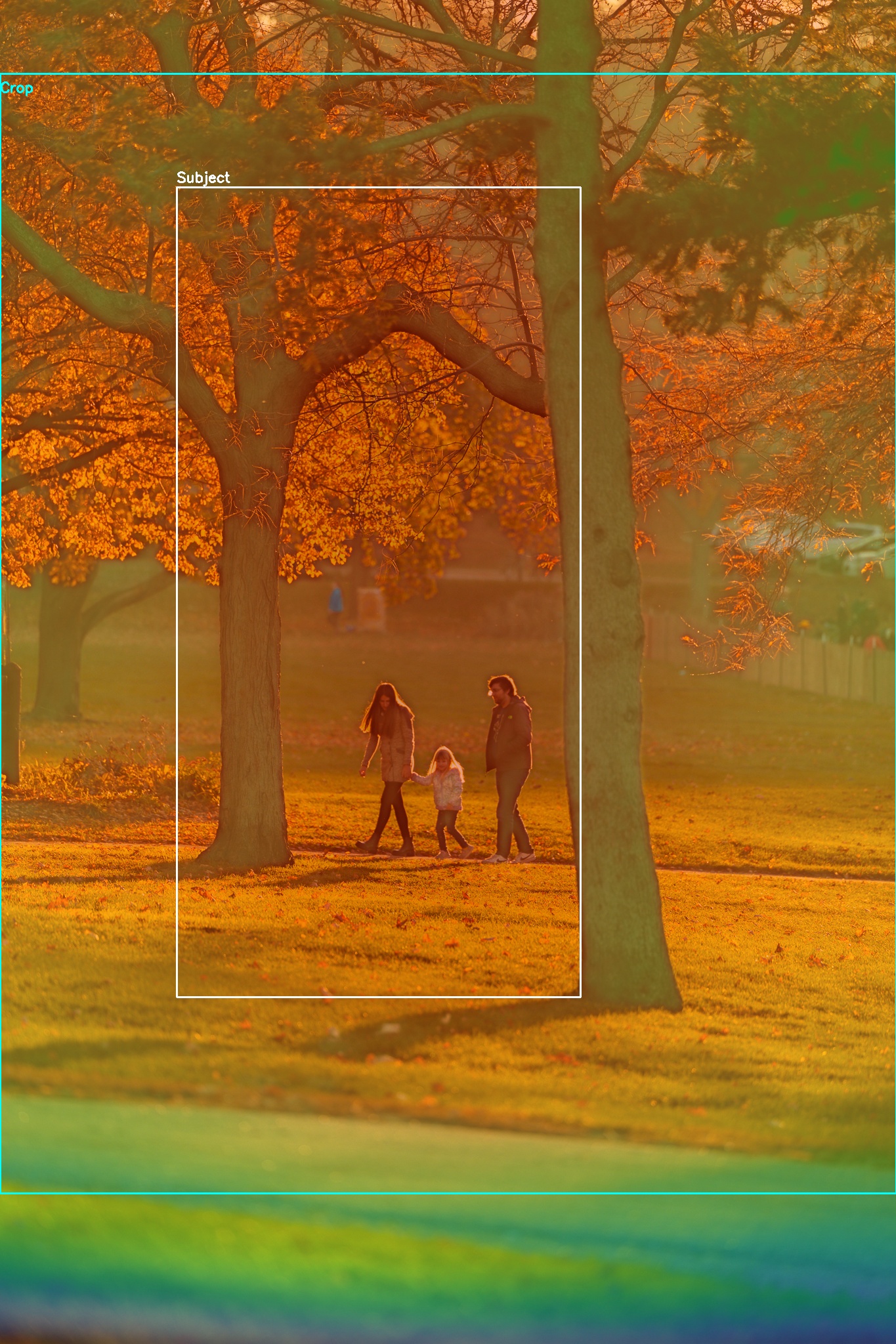 Automatic subject overlay